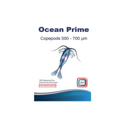 Ocean Prime Copepods