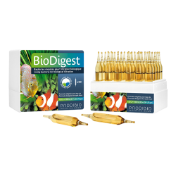 Prodibio BioDigest 30 Ampullen