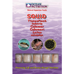 Ocean Nutrition Squid 100 g