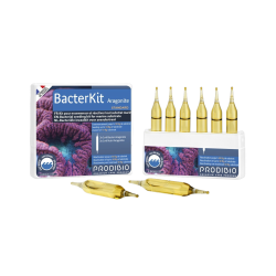 Prodibio Bacter Kit Aragonite