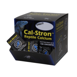 Cal-Stron Reptile Calcium 200 pack counter display