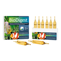 Prodibio BioDigest