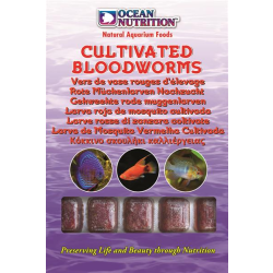 Ocean Nutrition Cultivated Bloodworms