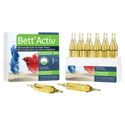 Prodibio BettActiv 12 Ampullen